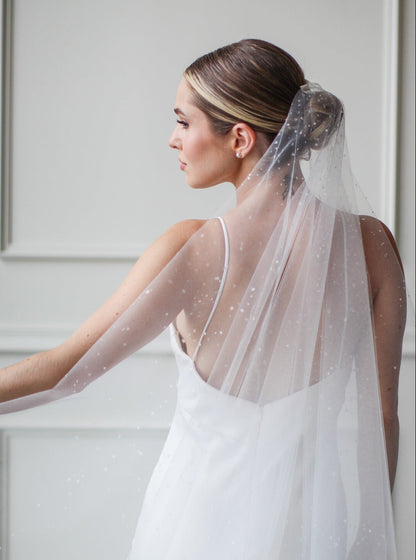 Dew Droplet Drop Veil