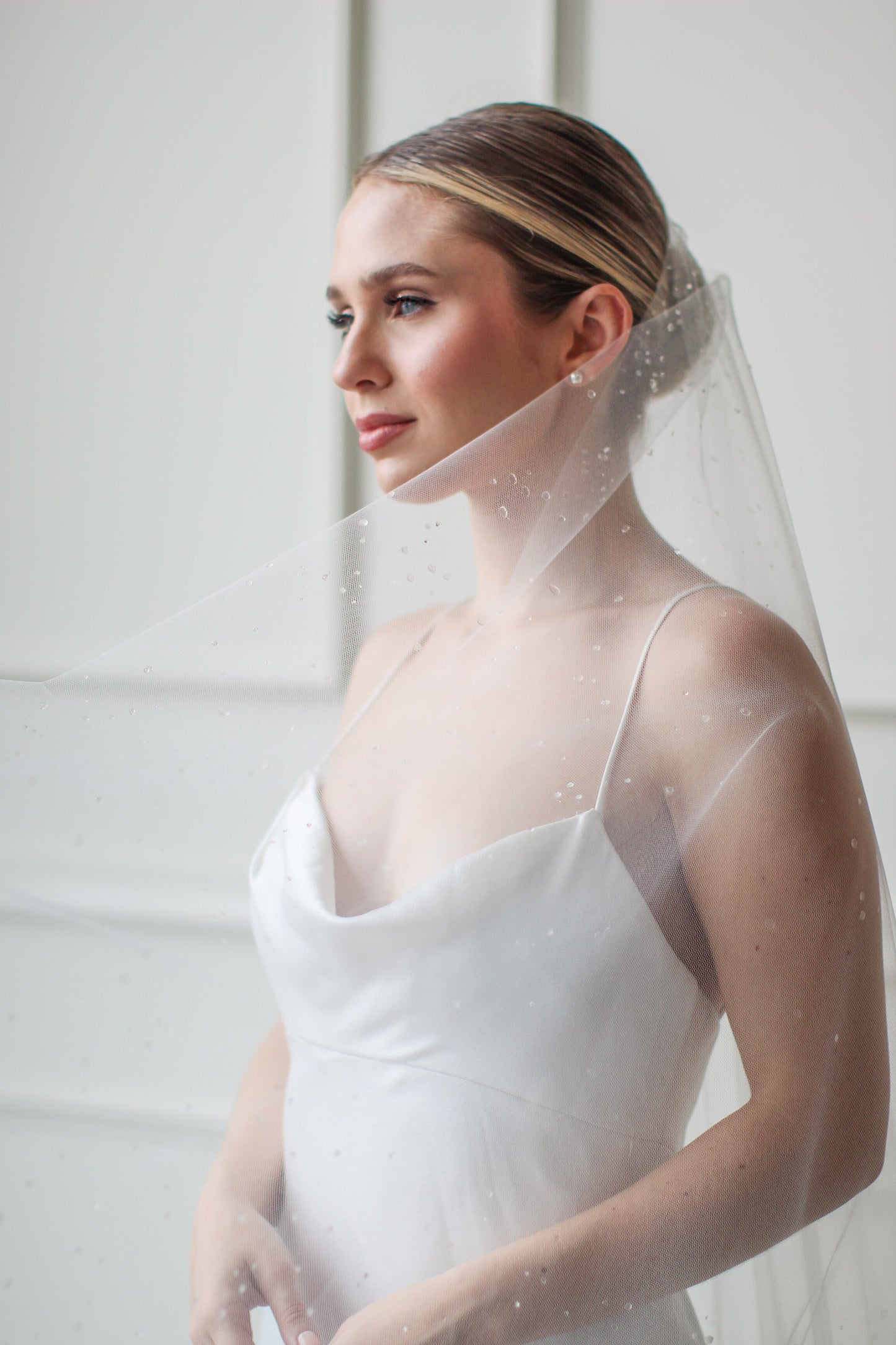 Dew Droplet Drop Veil