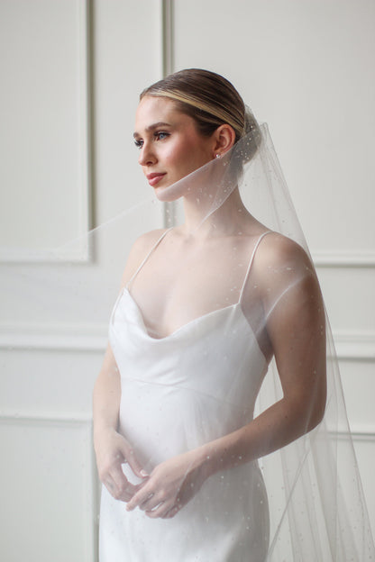 Dew Droplet Drop Veil