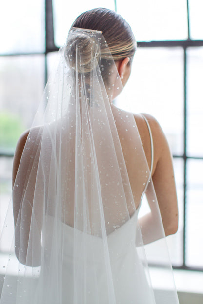 Dew Droplet Drop Veil