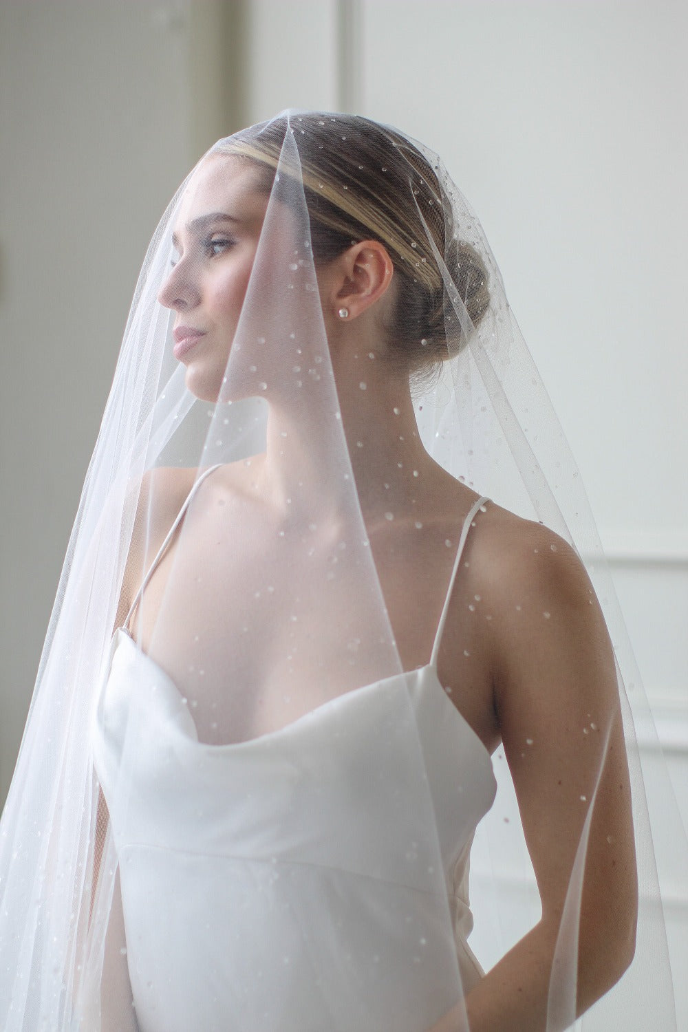 Dew Droplet Drop Veil