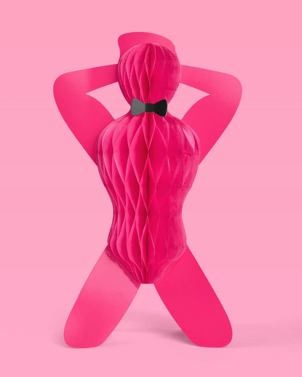 Strip Tease Accordion - 2 paper accordions