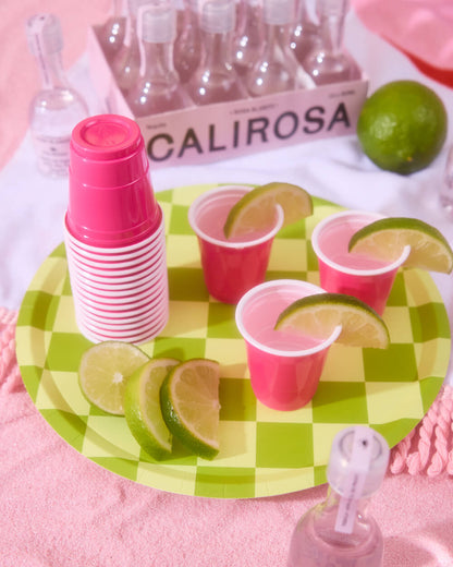 Fiesta Plates - 24 paper plates