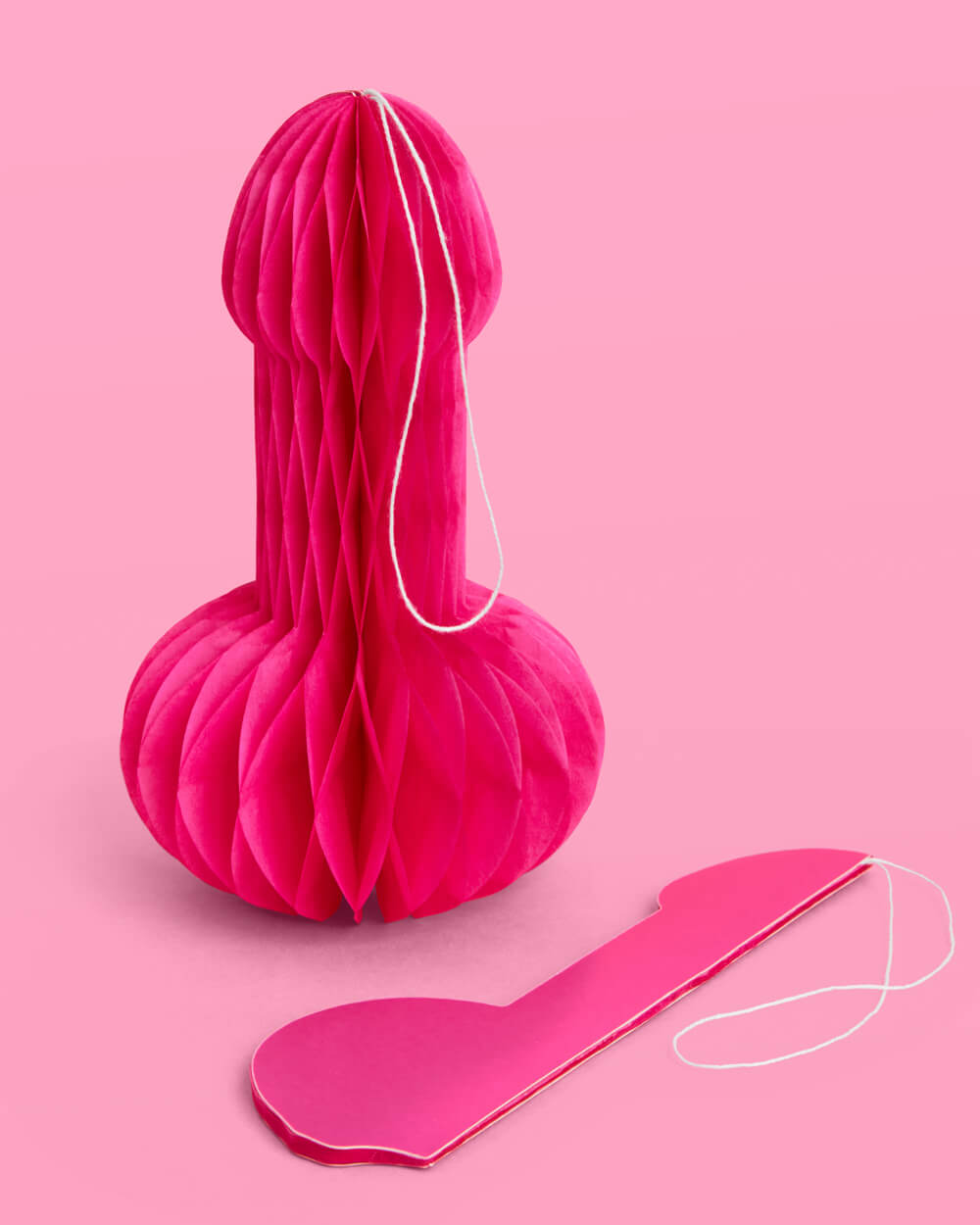 P3N!5 Accordion - 4 paper accordions