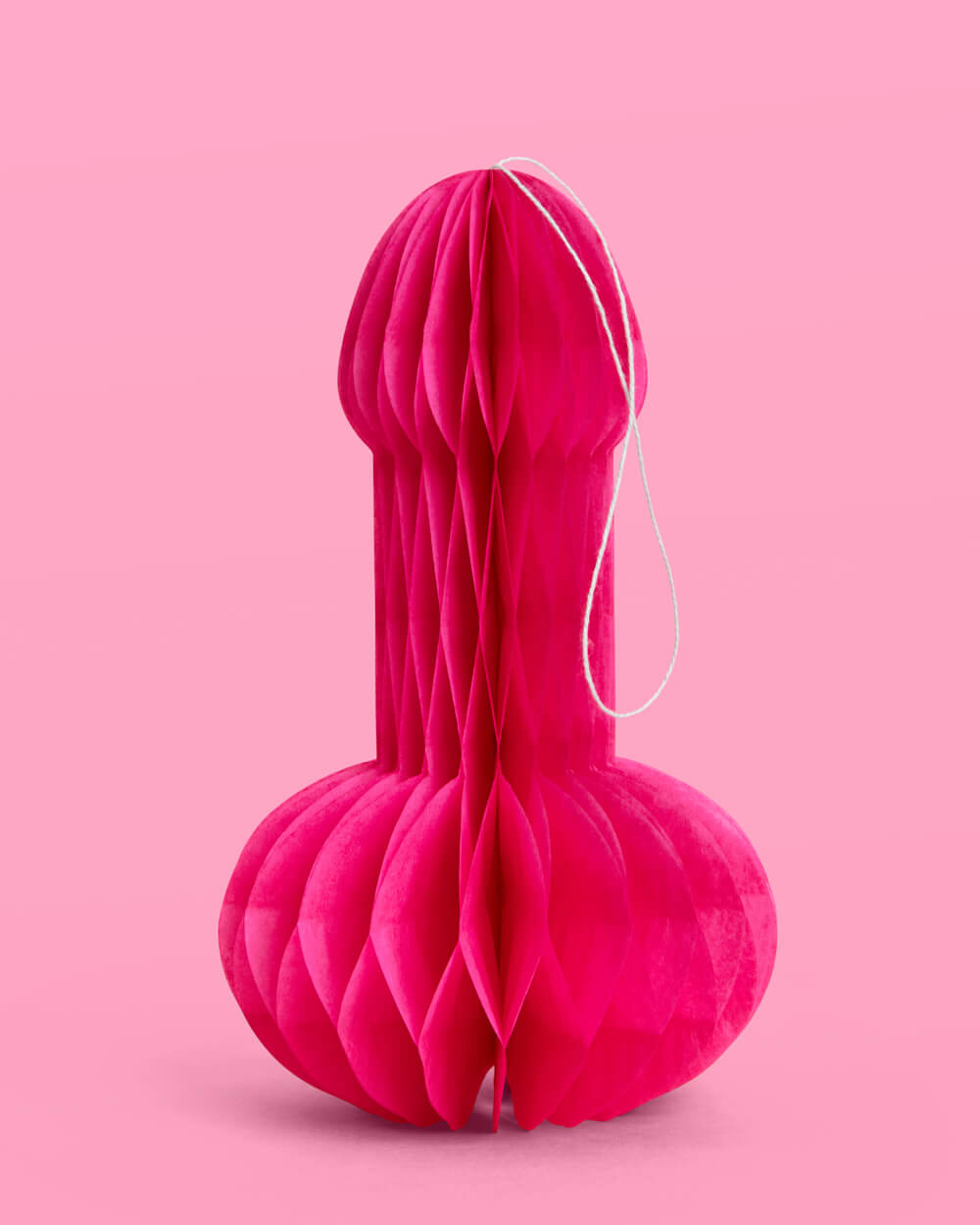 P3N!5 Accordion - 4 paper accordions