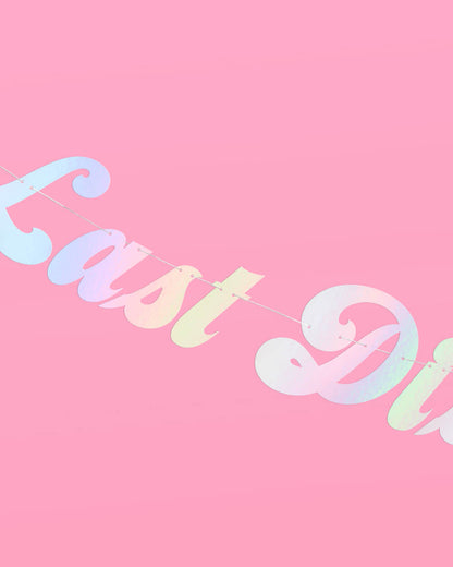 Last Disco Banner - two piece banner